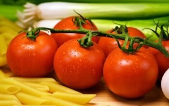 manfaat tomat ceri