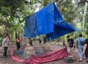 Gerak Cepat Polresta Banyuwangi Merespons Informasi Warga, Arena Sabung Ayam di Singojuruh Dibongkar.