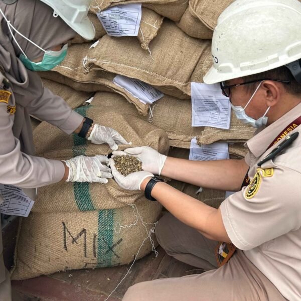 Karantina Sumsel Sertifikasi Kopi Robusta Pagaralam : Jamin Aman Masuk Australia