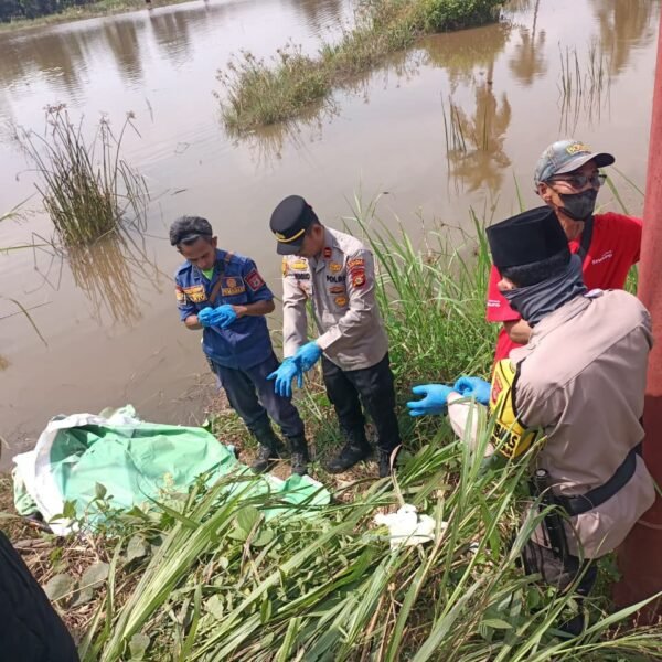 Kapolsek Rambutan Turun Langsung Terkait Ditemukannya Mayat Pria di Persawahan Sungai Pinang,
