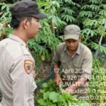 Bhabinkamtibmas Polsek Air Kumbang Gerakkan Masyarakat Desa Rimba Jaya Dukung Program Swasembada Pangan Nasional