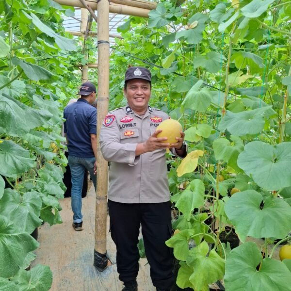 Bhabinkamtibmas Polsek Pangkalan Balai Gerakkan Warga Sukamulia Wujudkan Swasembada Pangan Melalui Program P2B