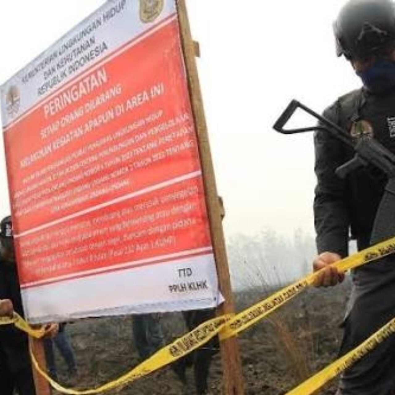 GAKKUM KEHUTANAN DIMINTA SEGERA TUNTASKAN KASUS PENGAMBILAN LAHAN HUTAN PRODUKSI DESA MUARA MERANG MUBA