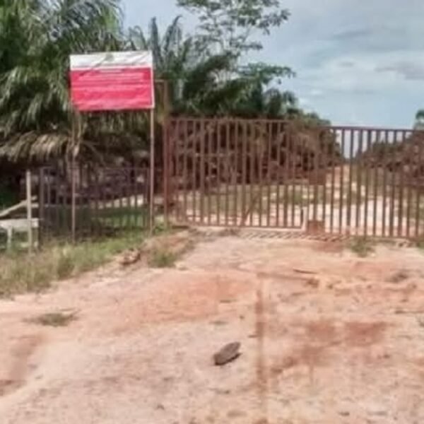 LAHAN HP DI MUBA DIDUGA BERALIH FUNGSI, GAKKUM KEHUTANAN DIMINTA TINDAK TEGAS