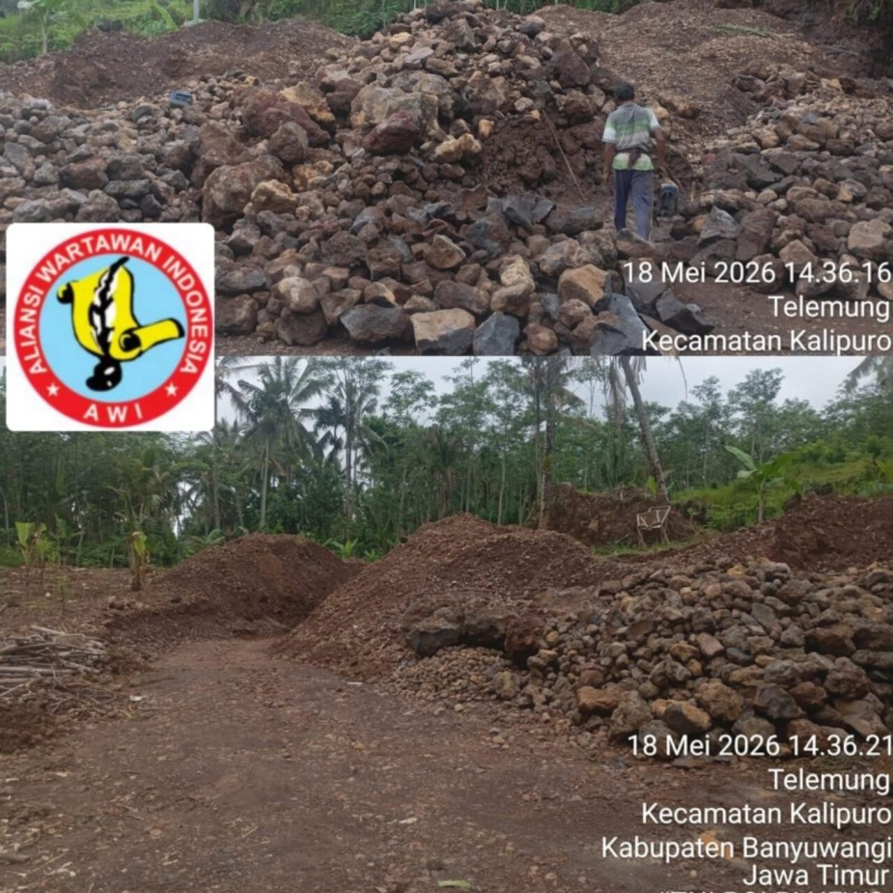 Diduga Tambang Ilegal di Telemung Kalipuro Kebal Hukum, AWI Dpc Banyuwangi Minta APH Bertindak
