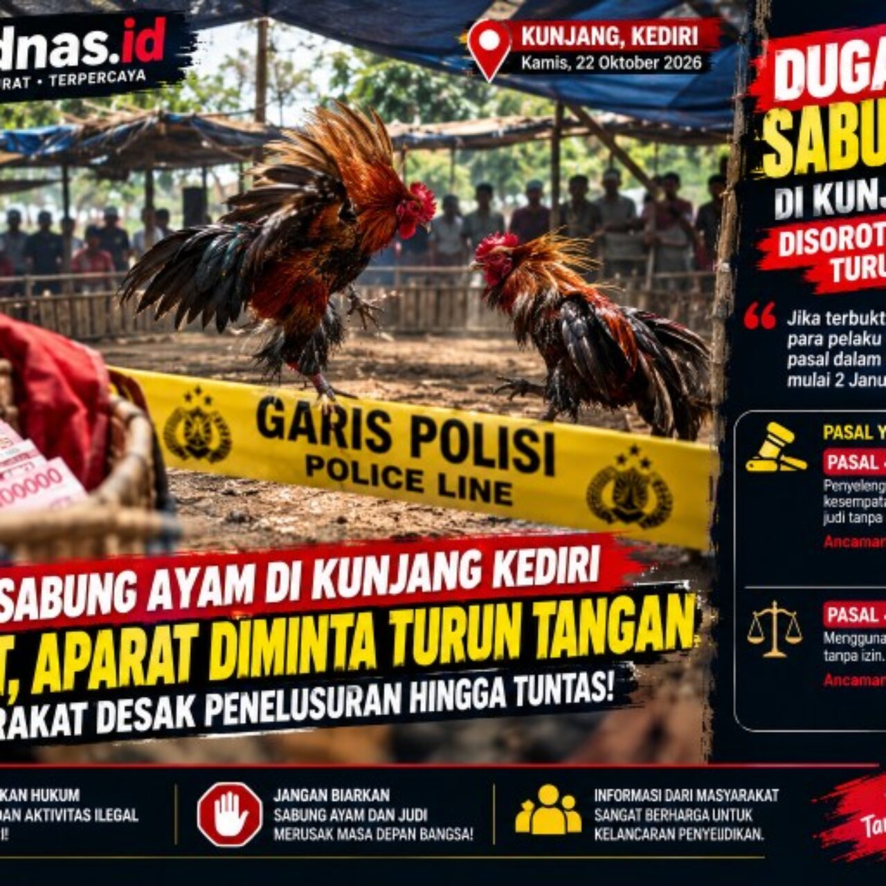 Dugaan Sabung Ayam di Kunjang Kediri Disorot, APH Diminta Turun Tangan dan Telesuri Unsur Perjudian!!