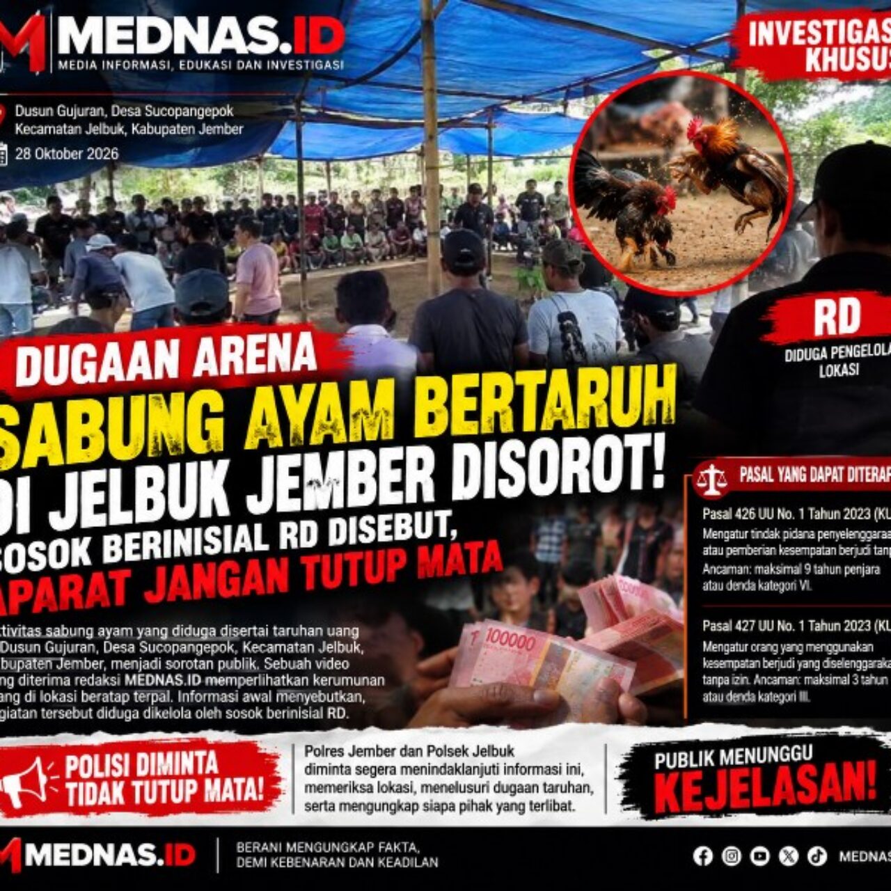 Dugaan Arena Sabung Ayam Bertaruh di Jelbuk Jember Disorot Sosok Berinisial RD Disebut, APH Jangan tutup Mata!! 